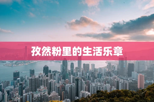 孜然粉里的生活乐章