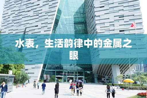 水表，生活韵律中的金属之眼