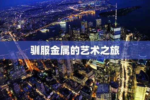 驯服金属的艺术之旅