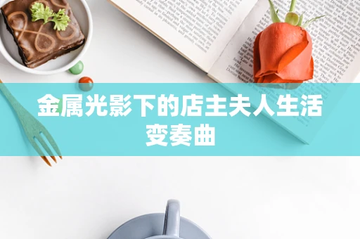 金属光影下的店主夫人生活变奏曲
