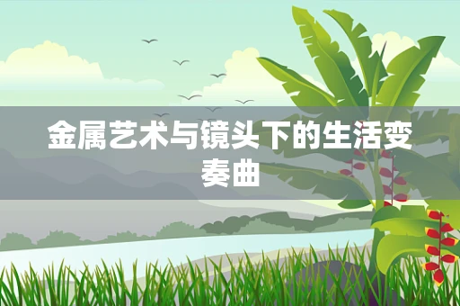 金属艺术与镜头下的生活变奏曲