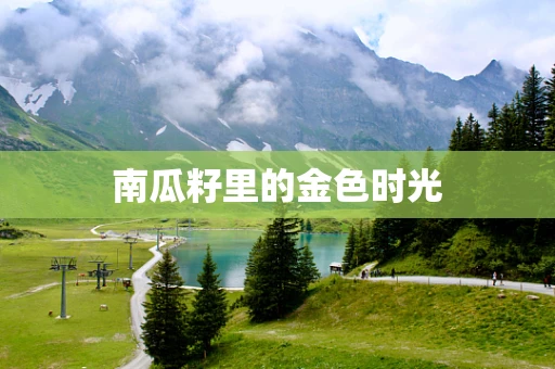 南瓜籽里的金色时光