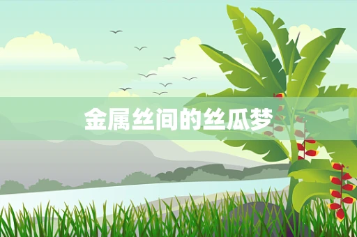 金属丝间的丝瓜梦