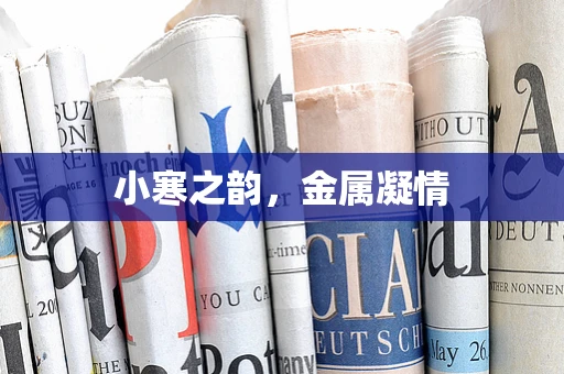 小寒之韵，金属凝情