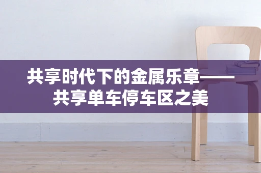 共享时代下的金属乐章——共享单车停车区之美