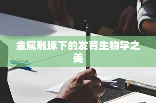 金属雕琢下的发育生物学之美