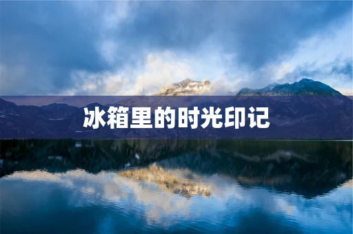 冰箱里的时光印记
