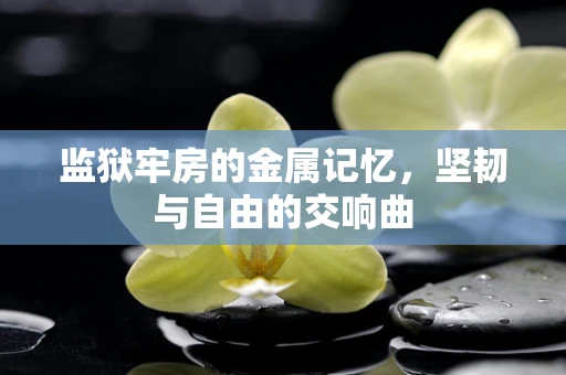 监狱牢房的金属记忆，坚韧与自由的交响曲