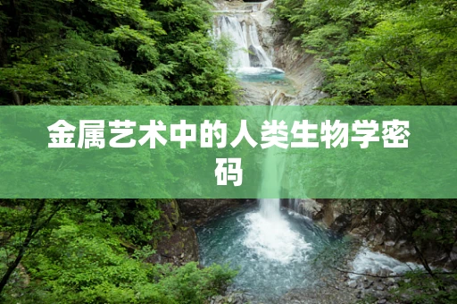金属艺术中的人类生物学密码