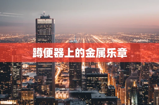 蹲便器上的金属乐章