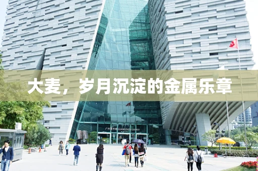 大麦，岁月沉淀的金属乐章