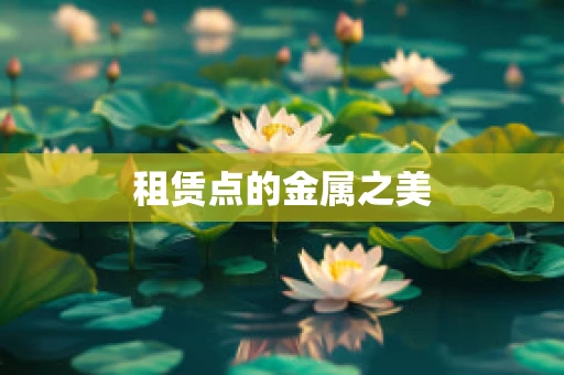 租赁点的金属之美