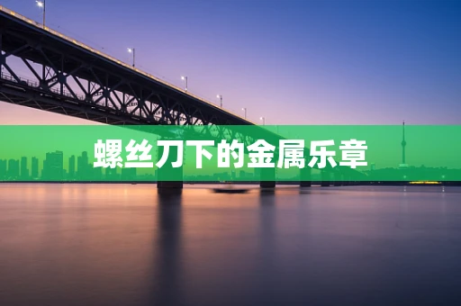 螺丝刀下的金属乐章