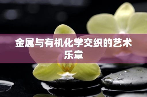 金属与有机化学交织的艺术乐章