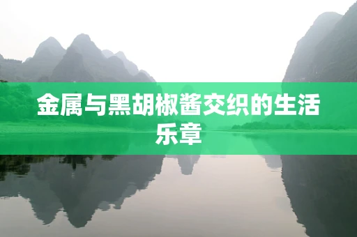 金属与黑胡椒酱交织的生活乐章