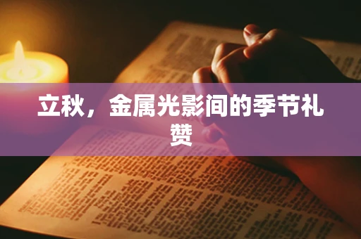 立秋，金属光影间的季节礼赞