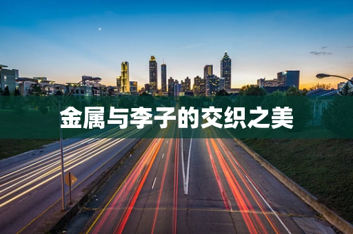 金属与李子的交织之美