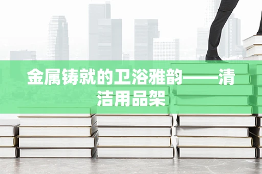 金属铸就的卫浴雅韵——清洁用品架
