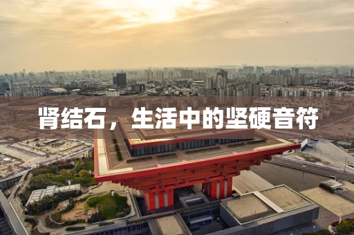 肾结石，生活中的坚硬音符