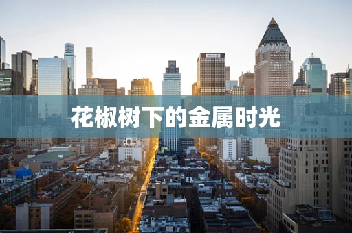 花椒树下的金属时光