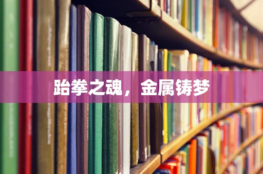 跆拳之魂，金属铸梦