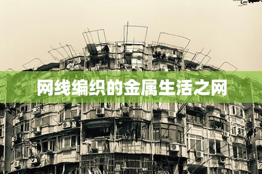 网线编织的金属生活之网