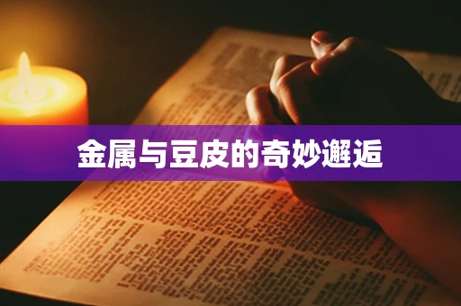 金属与豆皮的奇妙邂逅