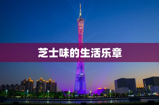 芝士味的生活乐章