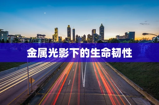 金属光影下的生命韧性