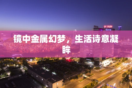 镜中金属幻梦，生活诗意凝眸