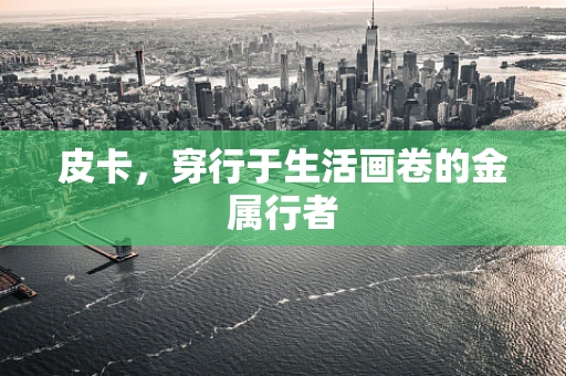 皮卡，穿行于生活画卷的金属行者