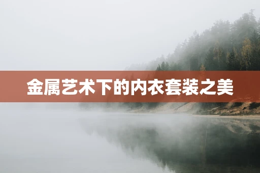 金属艺术下的内衣套装之美