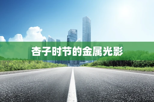 杏子时节的金属光影