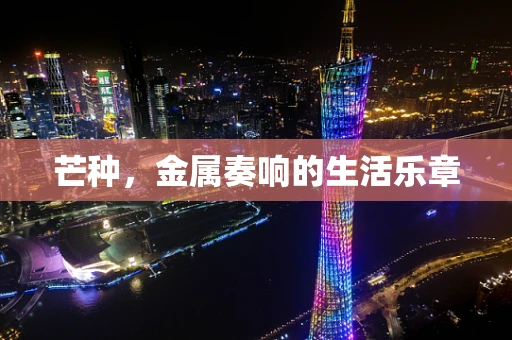 芒种，金属奏响的生活乐章