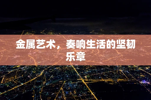 金属艺术，奏响生活的坚韧乐章