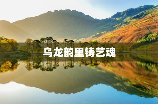 乌龙韵里铸艺魂