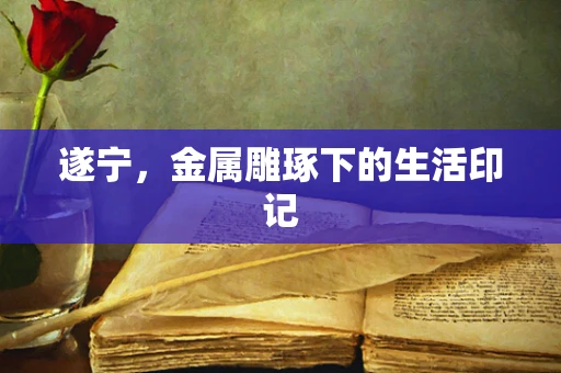遂宁，金属雕琢下的生活印记