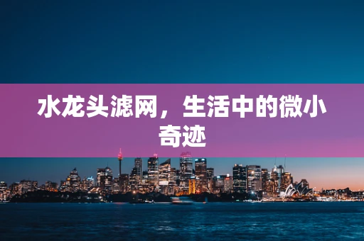水龙头滤网，生活中的微小奇迹