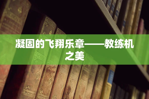 凝固的飞翔乐章——教练机之美