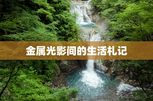 金属光影间的生活札记