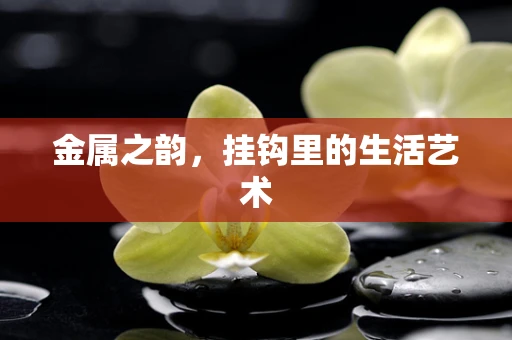 金属之韵，挂钩里的生活艺术