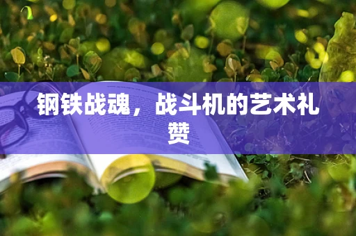 钢铁战魂，战斗机的艺术礼赞