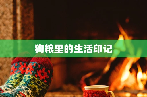 狗粮里的生活印记