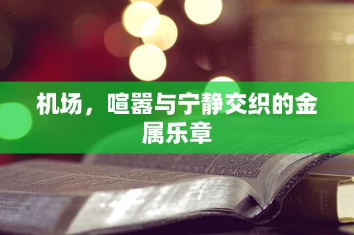机场，喧嚣与宁静交织的金属乐章