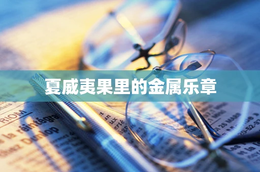 夏威夷果里的金属乐章