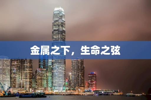 金属之下，生命之弦