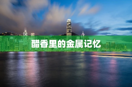 醋香里的金属记忆