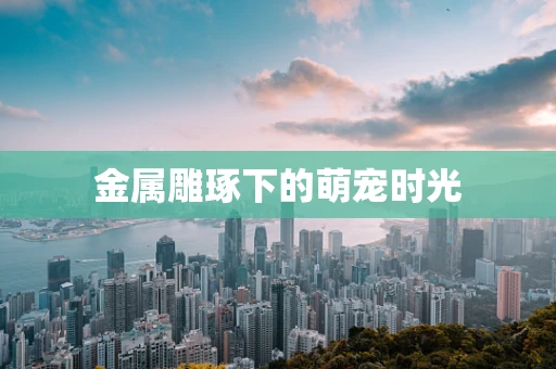 金属雕琢下的萌宠时光