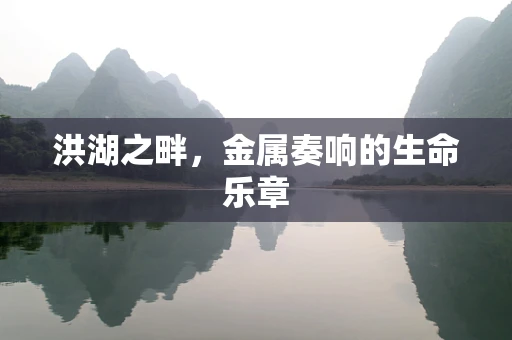 洪湖之畔，金属奏响的生命乐章