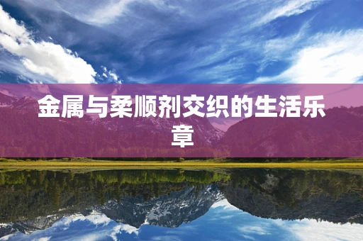 金属与柔顺剂交织的生活乐章